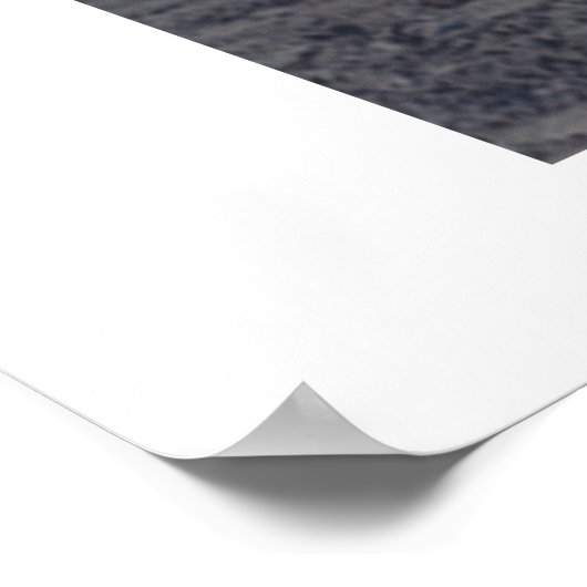 noordelijke danseres poster (Hoek)