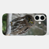 Noordelijke Dwerguil Case-Mate iPhone Case (Achterkant (horizontaal))
