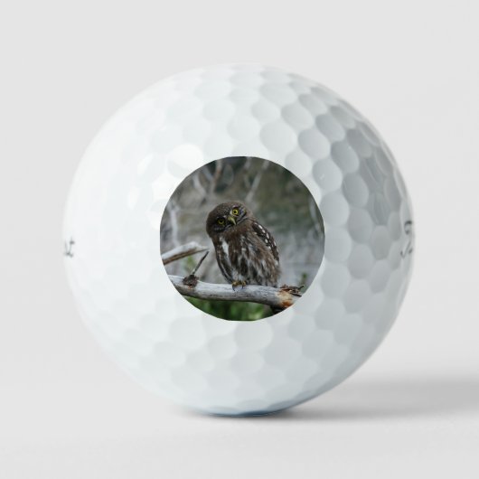 Noordelijke Dwerguil Golfballen (Voorkant)