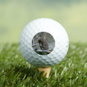 Noordelijke Dwerguil Golfballen (Insitu Shirt)