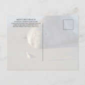 Noordelijke Elephant Seal Watts Bird Monterey Bay Briefkaart (Achterkant)