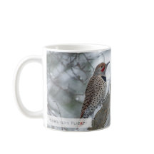 Noordelijke Flicker Jesaja 1:18 KJV