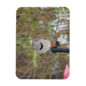Noordelijke Flicker op Vogelvoeder Magnet Magneet (Verticaal)