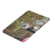 Noordelijke Flicker op Vogelvoeder Magnet Magneet (Linkerzijde)