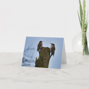 Noordelijke Flicker Vogelkaart Bedankkaart