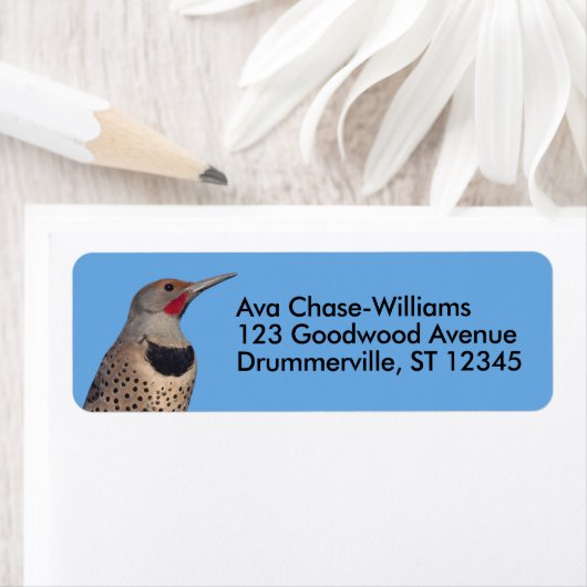 Noordelijke Flicker Woodpecker in de zon Etiket (Insitu)