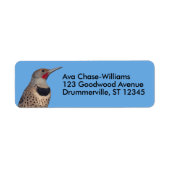 Noordelijke Flicker Woodpecker in de zon Etiket (Voorkant)