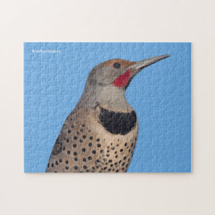 Noordelijke Flicker Woodpecker in de zon Legpuzzel