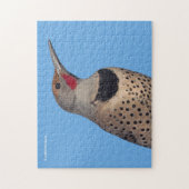 Noordelijke Flicker Woodpecker in de zon Legpuzzel (Verticaal)