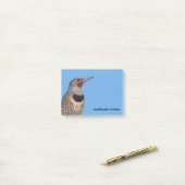 Noordelijke Flicker Woodpecker in de zon Post-it® Notes (Op bureau)
