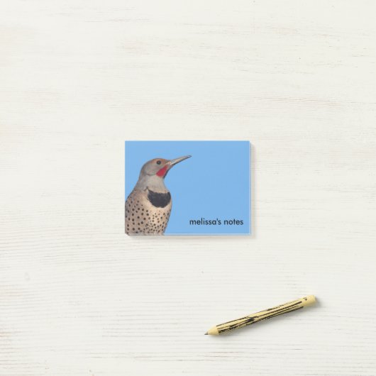 Noordelijke Flicker Woodpecker in de zon Post-it® Notes (Op bureau)