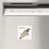 Noordelijke flikker magneet (Insitu (Vaatwasser))