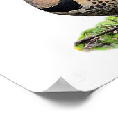 Noordelijke flikker op de grond poster (Hoek)