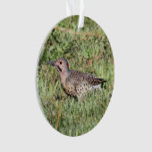 Noordelijke flikker ornament (voorkant)