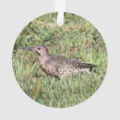 Noordelijke flikker ornament (achterkant)