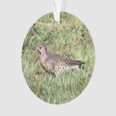 Noordelijke flikker ornament (voorkant)