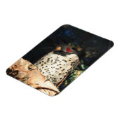 Noordelijke flikker - Spots Magneet (Linkerzijde)