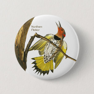 Noordelijke fluiter, Audubon, Birdwatcher Accessor Ronde Button 5,7 Cm
