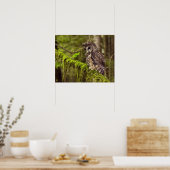 Noordelijke gepotte boomgaarden (Strix occidentals Poster (Keuken)