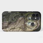 Noordelijke gepotte boomkorren Case-Mate iPhone case (Achterkant (horizontaal))