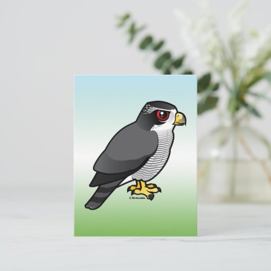 Noordelijke Goshawk Briefkaart (Staand voorkant)