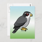 Noordelijke Goshawk Briefkaart (Voorkant / Achterkant)