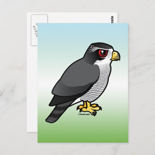Noordelijke Goshawk Briefkaart (Voorkant / Achterkant)