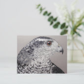 Noordelijke Goshawk Briefkaart (Staand voorkant)