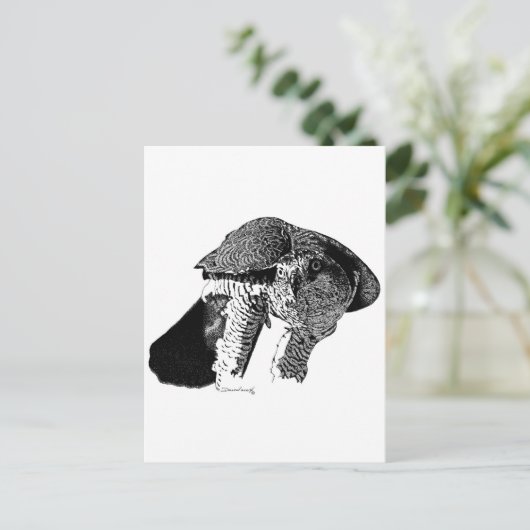 Noordelijke Goshawk Briefkaart (Staand voorkant)