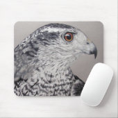 Noordelijke Goshawk Muismat (Met muis)