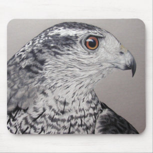 Noordelijke Goshawk Muismat