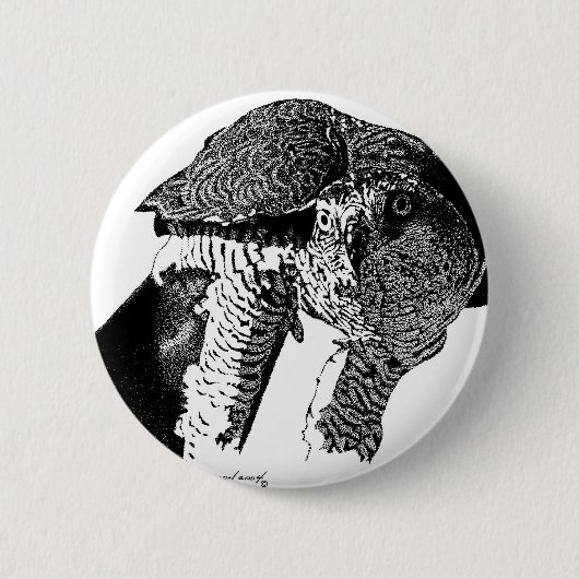 Noordelijke Goshawk Ronde Button 5,7 Cm (Voorkant)