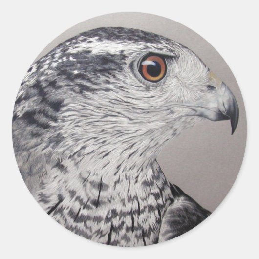 Noordelijke Goshawk Ronde Sticker (Voorkant)