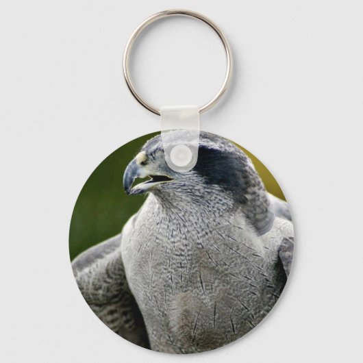 Noordelijke Goshawk Sleutelhanger (Voorkant)