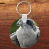 Noordelijke Goshawk Sleutelhanger (Voorkant)