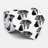 Noordelijke Goshawk Stropdas (Opgerold)