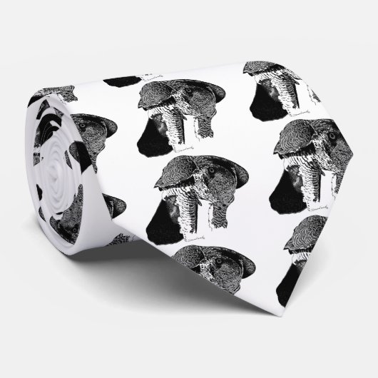 Noordelijke Goshawk Stropdas (Opgerold)