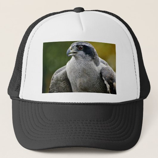 Noordelijke Goshawk Trucker Pet (Voorkant)