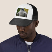 Noordelijke Goshawk Trucker Pet (In situ)