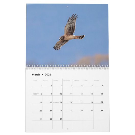 Noordelijke Harrier 2026 Kalender (Mar 2026)
