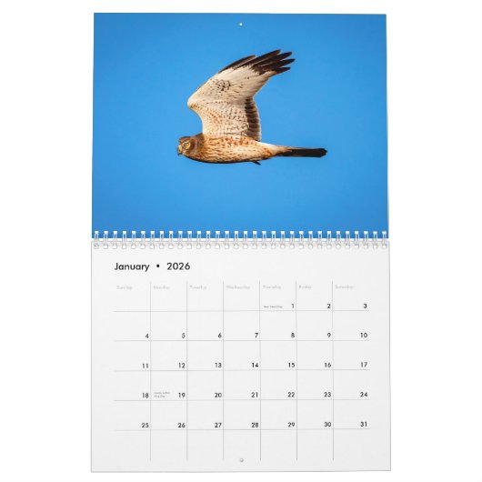 Noordelijke Harrier 2026 Kalender (Jan 2026)