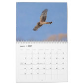 Noordelijke Harrier 2026 Kalender (Mar 2027)