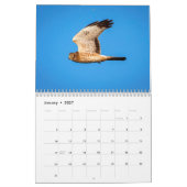 Noordelijke Harrier 2026 Kalender (Jan 2027)