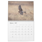 Noordelijke Harrier 2026 Kalender (Feb 2027)