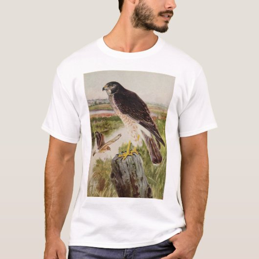 Noordelijke Harrier, 2 leeftijden T-shirt (Voorkant)