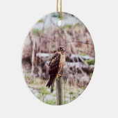 Noordelijke Harrier Hawk op het hek Keramisch Ornament (Rechts)