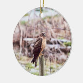 Noordelijke Harrier Hawk op het hek Keramisch Ornament (Links)