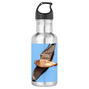 Noordelijke Harrier in vlucht Waterfles