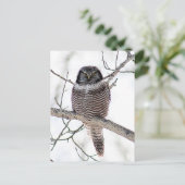 Noordelijke Hawk Owl Briefkaart (Staand voorkant)