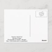 Noordelijke Hawk Owl Briefkaart (Achterkant)